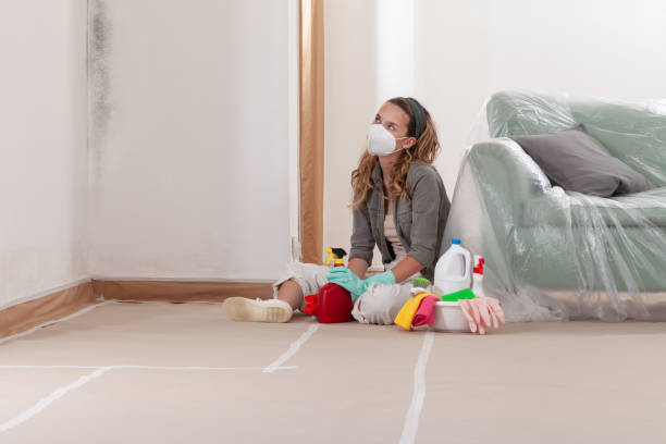 Reliable Mold Remediation contractor in Union, OR by Mold Remediation HQ